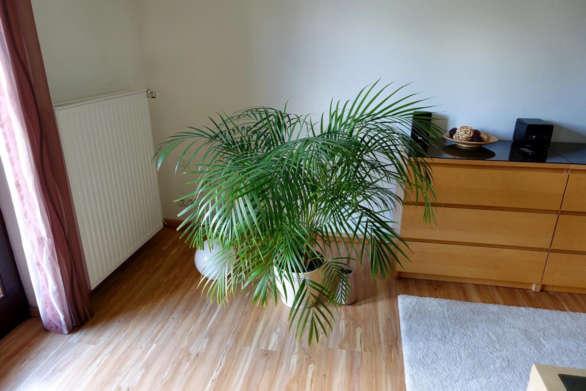 Ferienwohnung Ariane Garmisch-Partenkirchen Exterior foto